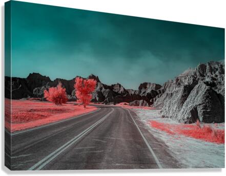 Badlands Passage Canvas Print