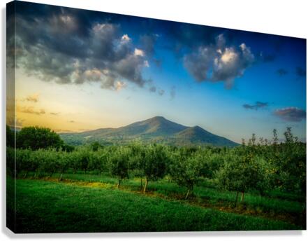 Peaks of Otter Canvas Print