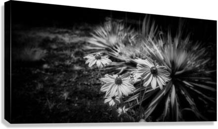 Flowery Canvas Print