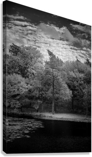 Castles Guardian Canvas Print