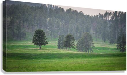 Serene Countryside Dreams  Canvas Print