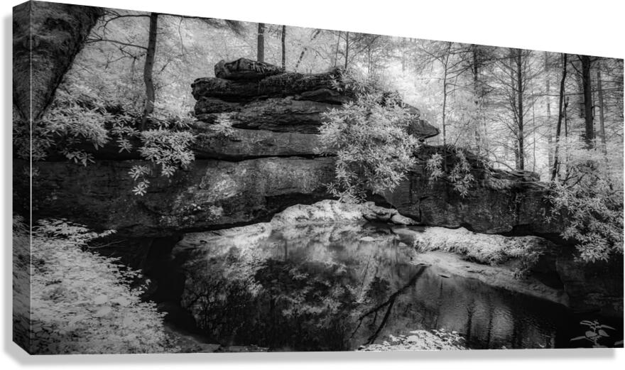 Rocky Tranquility: Natural Bridge Kentucky Canvas Print