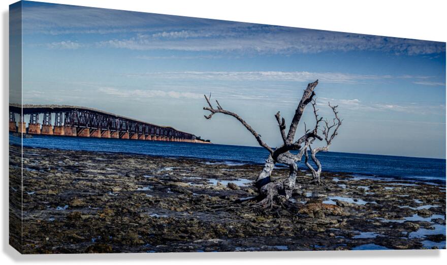 Capturing Serenity: The Tale of Hey Key - A Scenic Journey with Nature Canvas Print