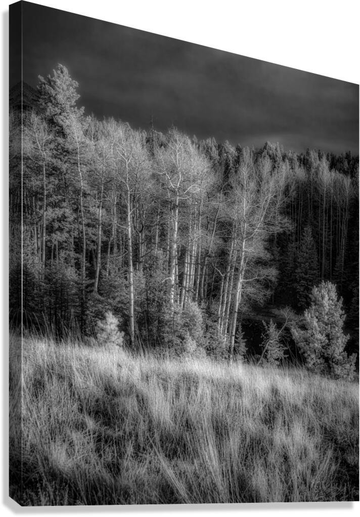 Mueller Aspen Series: Twilight Whispers Canvas Print