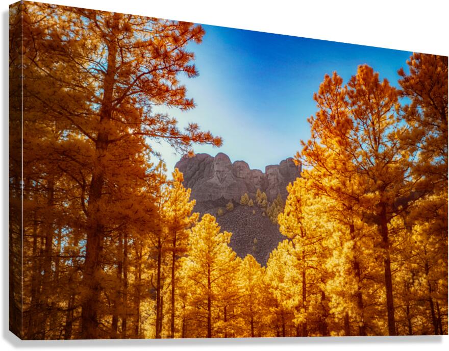 Mount Rushmore Yellow Glow: Infrared Beauty Amidst the Trees Canvas Print