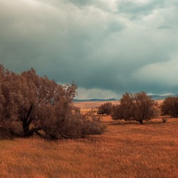 Storms Edge - Wyoming Solitude