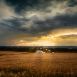 Farmland Sunset