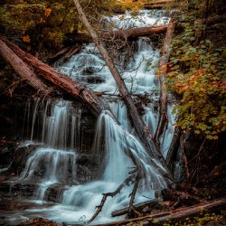 Autumns Liquid Symphony