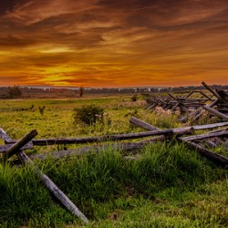 Fenceline Sunset