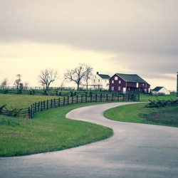 The Road That Remembers