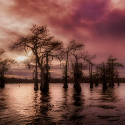 Twilights Last Whisper