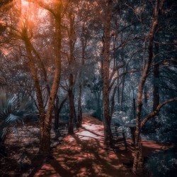 Where the Light Finds You