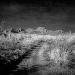 Echoes of Silence Across the Horizon