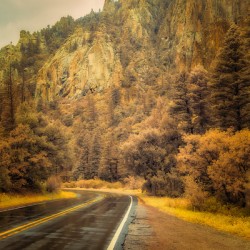 Reflections of a Rain Kissed Road