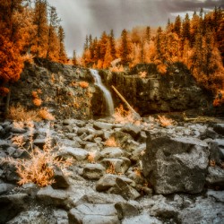 Autumn Fire and Falling Water