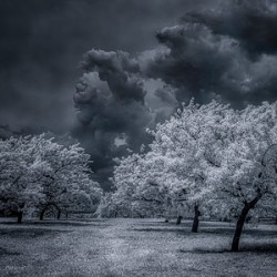 Illumination in Turmoil