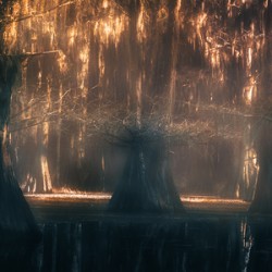 Embers of the Ancient