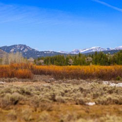 Layers of Winter Promise