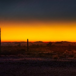 Deserts Goodnight Kiss