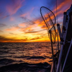 Octobers Palette: Setting Sail for Birthday Memories on the Wat