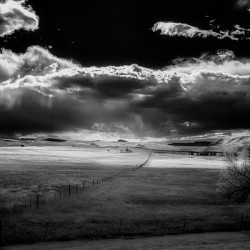 Endless Fenceline   Wyoming Dreams