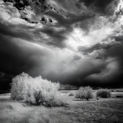 Divine Light   Wyoming Storm Theater