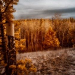 Mueller Aspen Series: