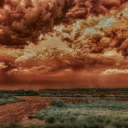 Grapevine Cove Storm