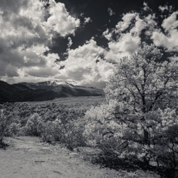 Trail to Majesty: A Glimpse Beyond on Scotchman Trail Garden of the Gods