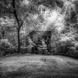 Woodlands Hidden Cabin