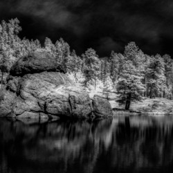 Enigmatic Elegance: Sylvan Lakes Monochrome Marvel