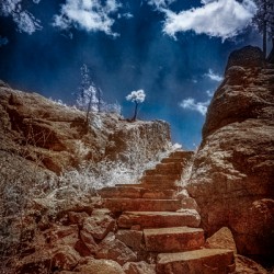 Stairway to Tranquility: Exploring Sylvan Lake South Dakota