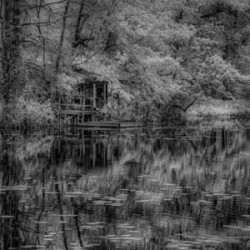 Louisiana Fishing Shack-1