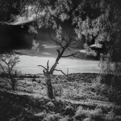 Veiled Guardian of Ancient Hills