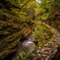 Autumn In the Gorge