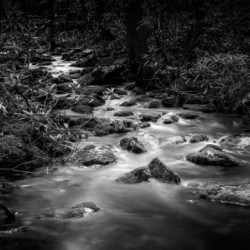 Mountain Streams Melody