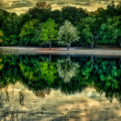 Florida Dreamscapes: Indian Lake State Forest