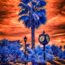 Radiant Dusk: Capturing the Charm of Inverness Florida