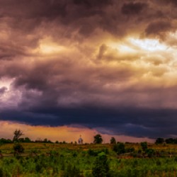 Tempestuous Tranquility 