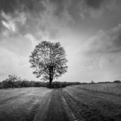 Majestic Solitude: An Evening Ride Through History