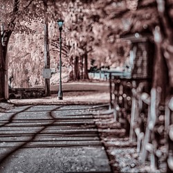 IR Trail in Town