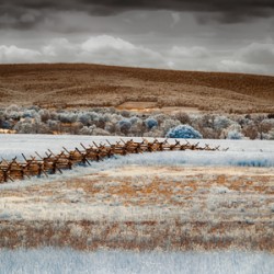 Infrared Fenceline