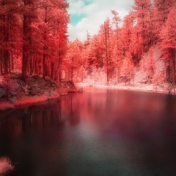Radiant Tranquility: A Stroll Along Grace Coolidge Lakes Infrared Wonderland in South Dakota