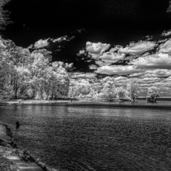 Mystical Waters: Stark Cove in Santee