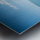 Great loop bow Metal print