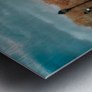 Reflections of Golden Calm Metal print