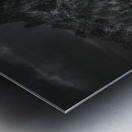 Shadowed Path to Tranquil Peaks Metal print