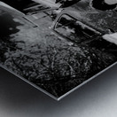 Rustic Relic - Missing Pieces Metal print