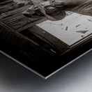 Whispered Elegance of a Timeless Pair Metal print