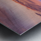 Whispers Through The Sunlit Canopy Metal print